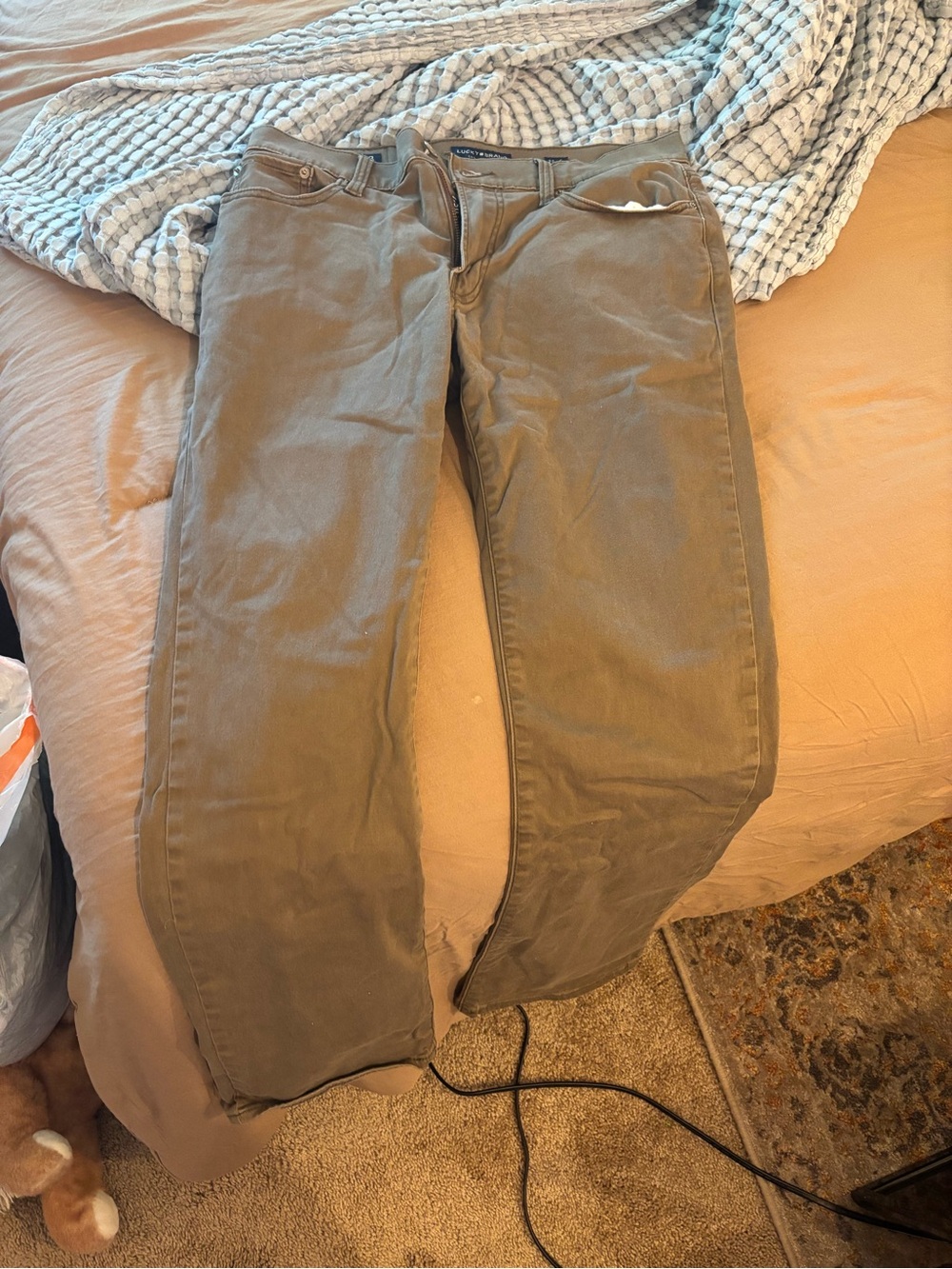 Lucky Brand Straight Jeans in Olive